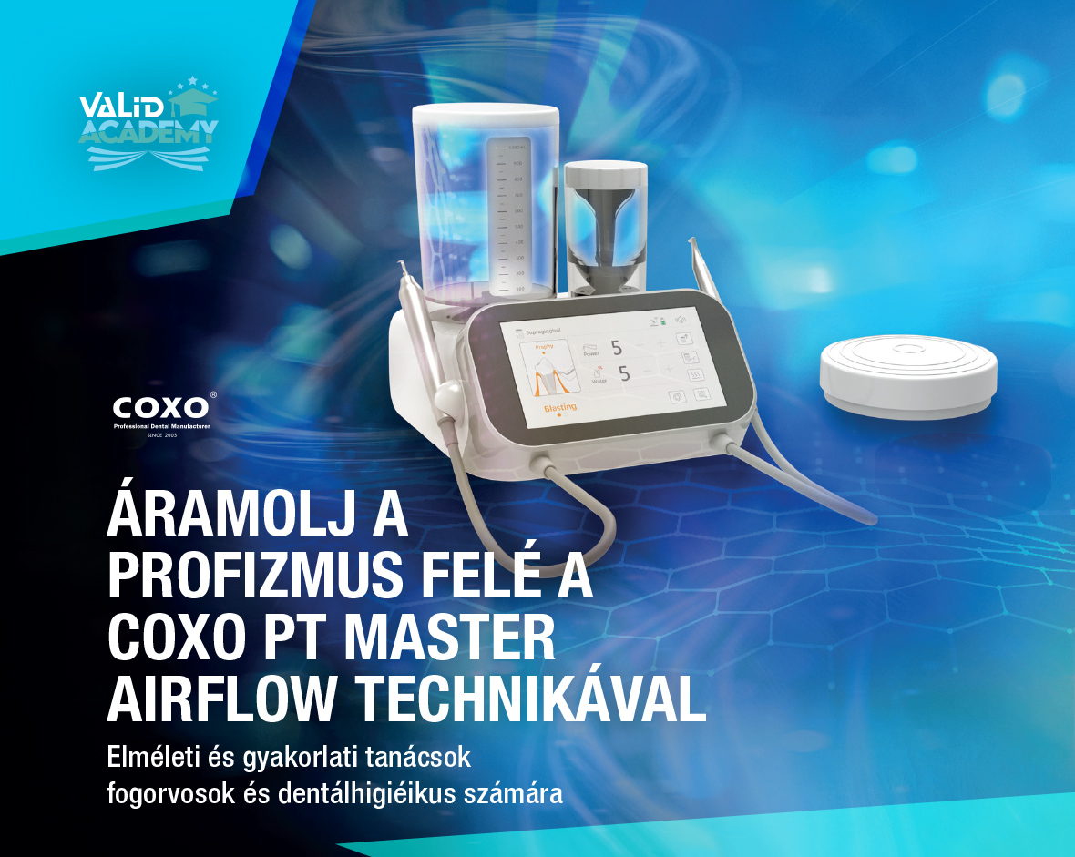 VaLiD Academy Aszisztens kurzus header