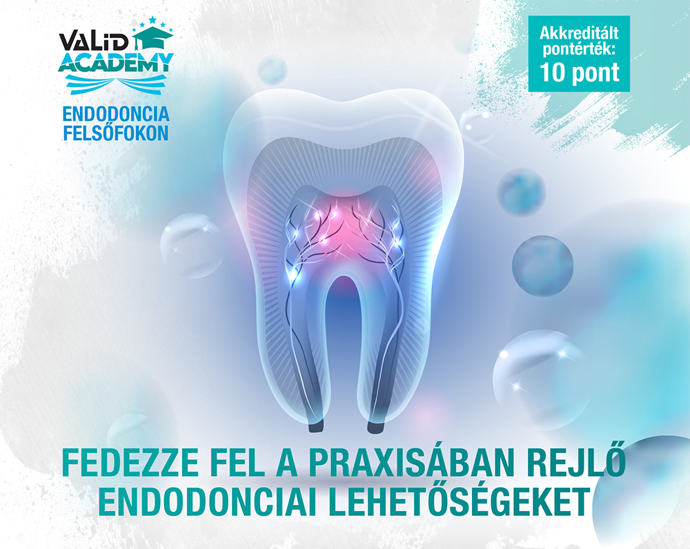 VaLiD Academy endo 231110 fejlec